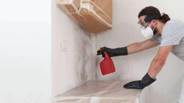 Professional Bathroom Mold Removal technician working in Winfield, TN