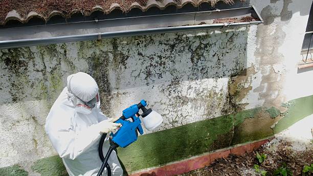 Top rated local Bathroom Mold Removal specialists in Winfield, TN